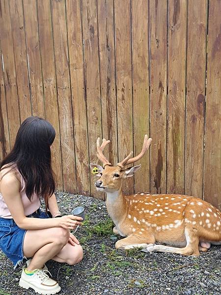 <遊記-宜蘭冬山>2024 斑比山丘零距離的接觸,把你的美 <遊記-宜蘭冬山>2024 斑比山丘零距離的接觸,把你的美