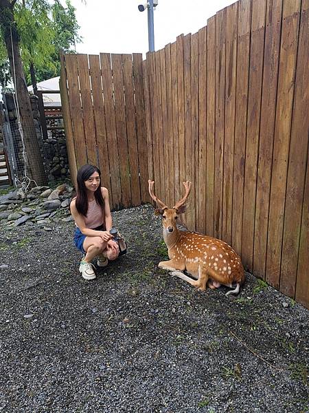 <遊記-宜蘭冬山>2024 斑比山丘零距離的接觸,把你的美 <遊記-宜蘭冬山>2024 斑比山丘零距離的接觸,把你的美