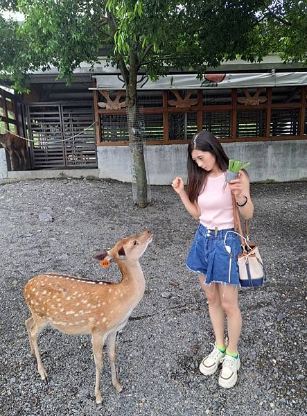 <遊記-宜蘭冬山>2024 斑比山丘零距離的接觸,把你的美 <遊記-宜蘭冬山>2024 斑比山丘零距離的接觸,把你的美