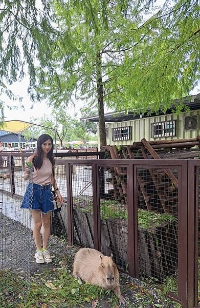 <遊記-宜蘭冬山>2024 斑比山丘零距離的接觸,把你的美 <遊記-宜蘭冬山>2024 斑比山丘零距離的接觸,把你的美