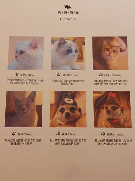 LINE_ALBUM_部落格_250215_29 LINE_ALBUM_部落格_250215_29