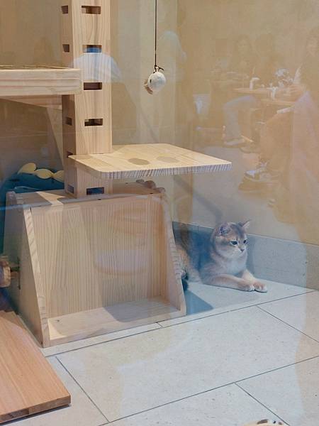 LINE_ALBUM_部落格_250215_12 LINE_ALBUM_部落格_250215_12