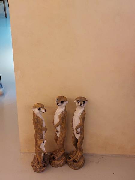 LINE_ALBUM_部落格_250215_13 LINE_ALBUM_部落格_250215_13