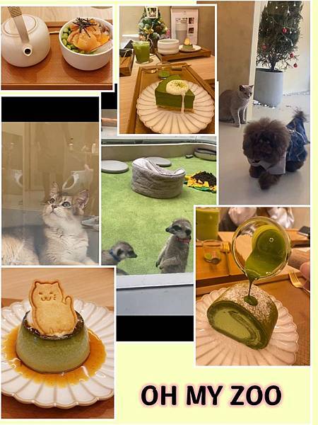 食記-台北大安OH MY ZOO Cafe 萌寵X抹茶 食記-台北大安OH MY ZOO Cafe 萌寵X抹茶