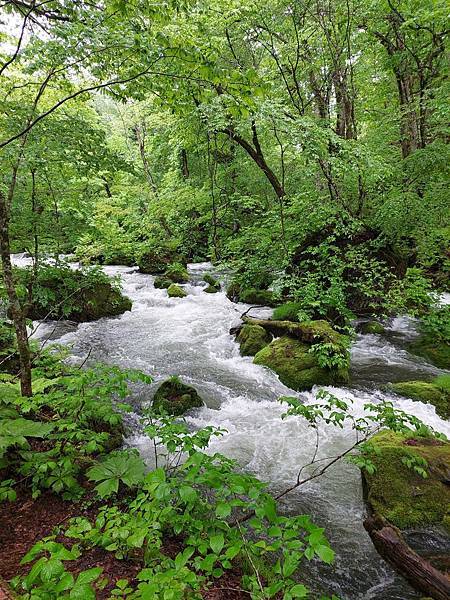 2025新婚夫妻蜜月之旅-可樂旅遊日本東北五天四夜--行前 2025新婚夫妻蜜月之旅-可樂旅遊日本東北五天四夜--行前