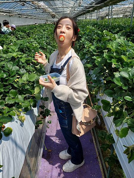 2025新婚夫妻蜜月之旅-可樂旅遊日本東北五天四夜--行前 2025新婚夫妻蜜月之旅-可樂旅遊日本東北五天四夜--行前