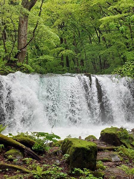 2025新婚夫妻蜜月之旅-可樂旅遊日本東北五天四夜--行前 2025新婚夫妻蜜月之旅-可樂旅遊日本東北五天四夜--行前