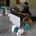 PB080060.JPG