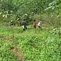 PA310050.JPG