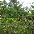 PB010079.JPG