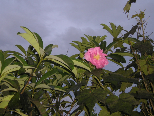 PB010093.JPG
