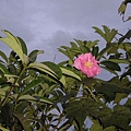 PB010093.JPG
