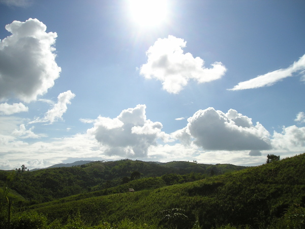 PA310027.JPG