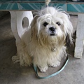 PB050130.JPG