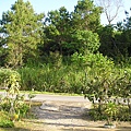 PA300057.JPG
