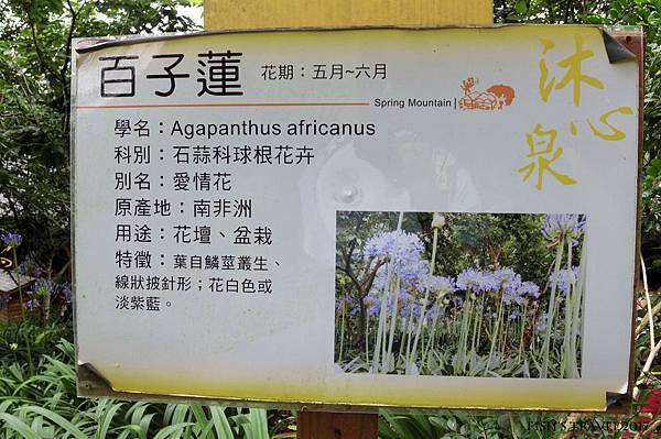 沐心泉休閒農場 沐心泉休閒農場