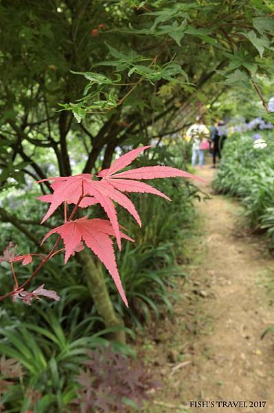 沐心泉休閒農場 沐心泉休閒農場