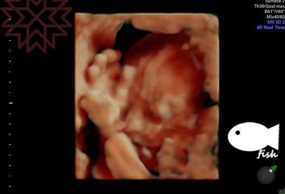 IMG_4724.JPG IMG_4724.JPG