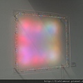 2010 037.jpg