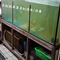 新竹海產缸2.JPG
