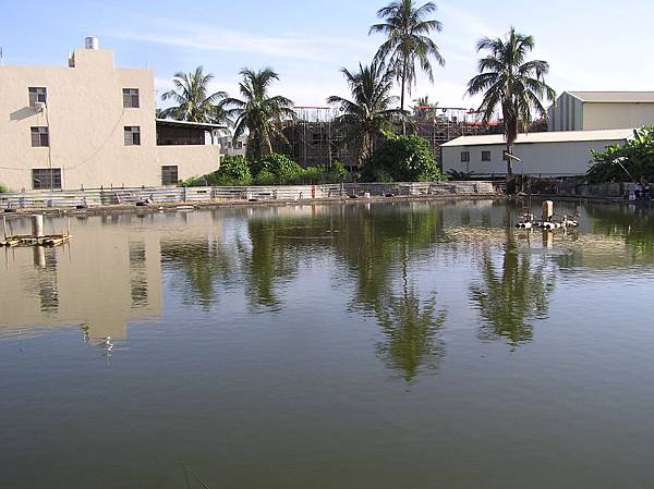 102727佳池釣魚場另一景.JPG