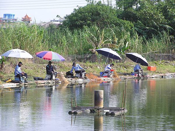 10298下午嘉南珠海釣場組訓下半場東岸一景.JPG