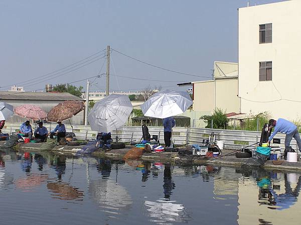 1021020嘉南小組佳池釣魚場組訓上半場一景