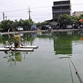 1021121日盛釣魚場另一景.JPG