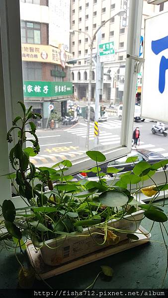 20161228_111017.jpg 20161228_111017.jpg