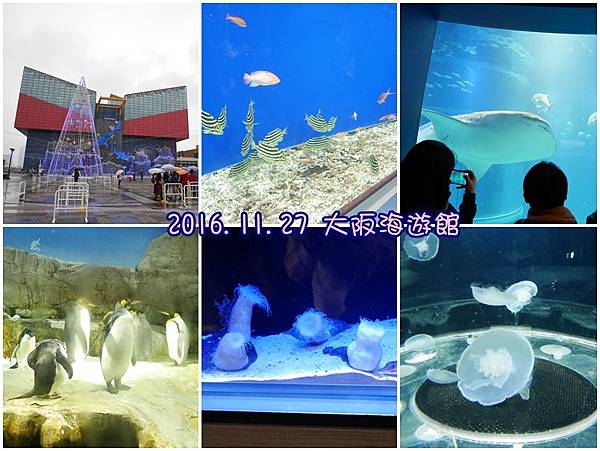 海遊館.jpg 海遊館.jpg