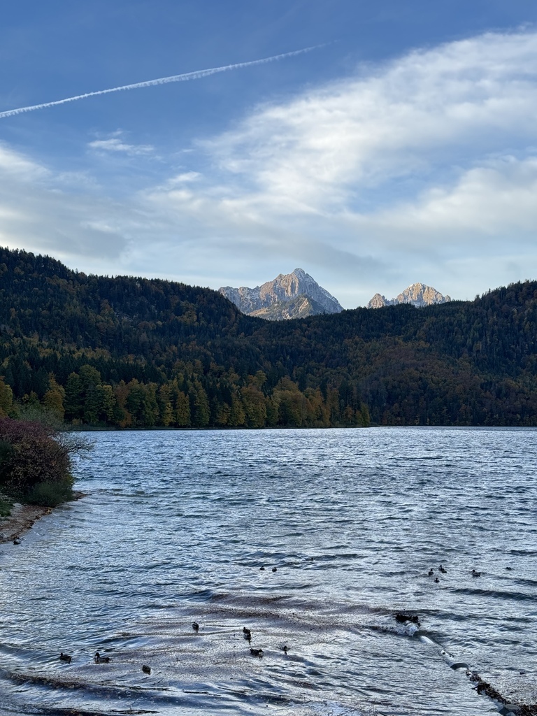 【德國】新天鵝堡,迪士尼灰姑娘的城堡原型 【德國】新天鵝堡,迪士尼灰姑娘的城堡原型