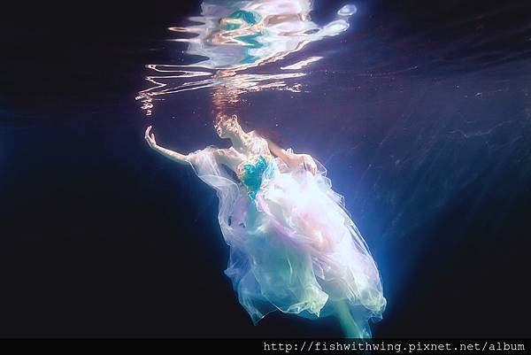 Fish 水中攝影 underwater photography