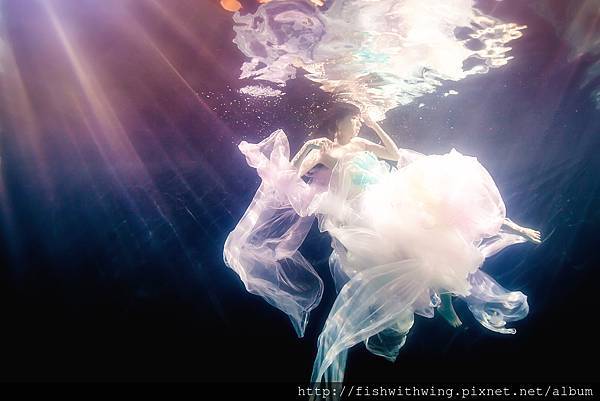 Fish 水中攝影 underwater photography