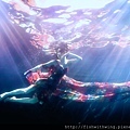 Fish 水中攝影 underwater photography