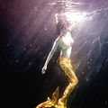 Fish 水中攝影 underwater photography