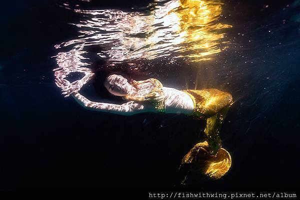 Fish 水中攝影 underwater photography