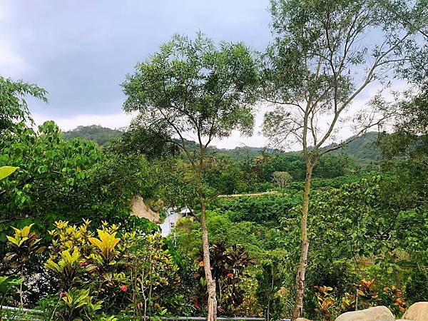 20180614_180614_0012.jpg 20180614_180614_0012.jpg