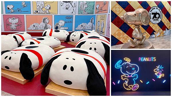 PhotoGrid_Plus_1610772981267 PhotoGrid_Plus_1610772981267