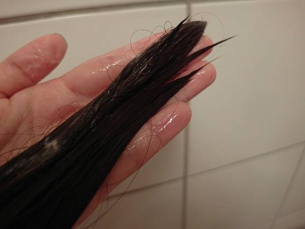 SAM_0120 SAM_0120