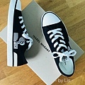 Isabel-Marant-Binkoo-canvas-sneakers