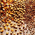 grains.jpg