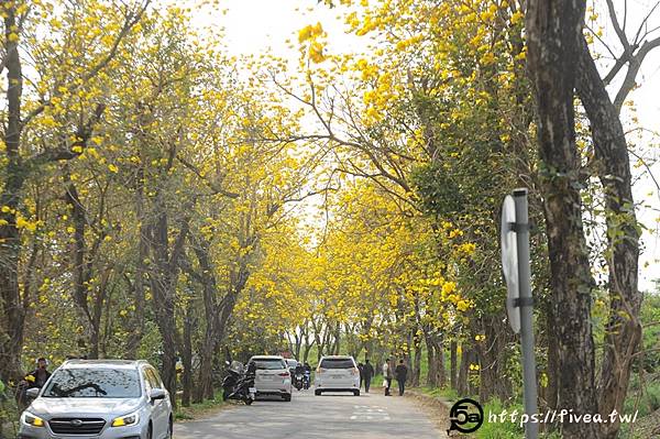 2025年，春，嘉義大林，陳井寮