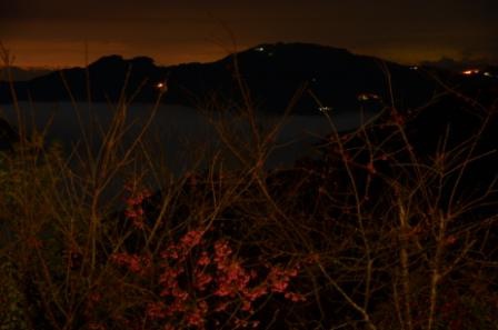 雲海夜景1