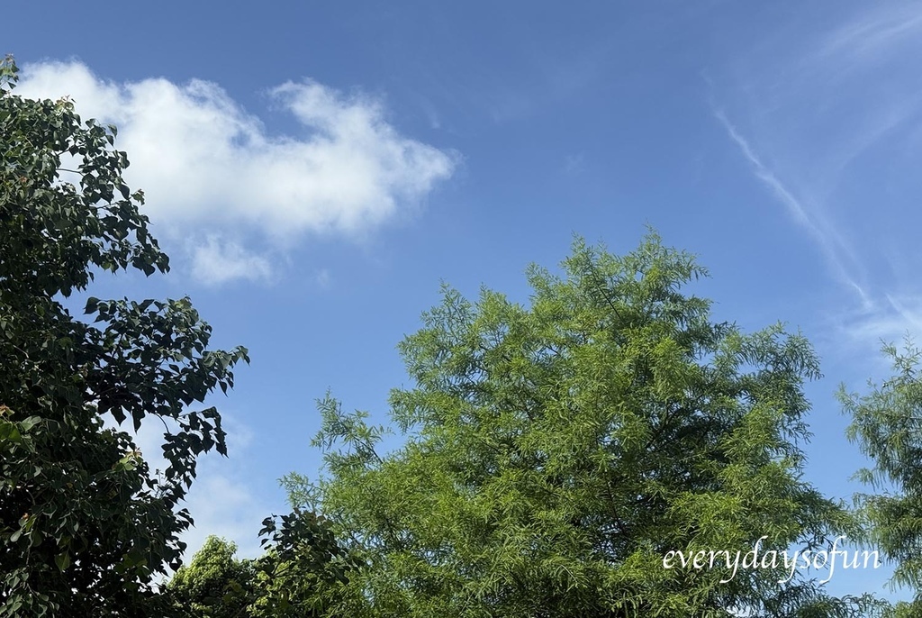 菈芙卡雙人房開箱 菈芙卡雙人房開箱