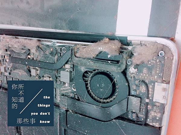 62532131_2264490536962342_103330904482512896_o (1) 62532131_2264490536962342_103330904482512896_o (1)