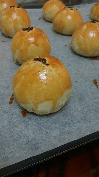 16106959_1566150883413860_334085370_o