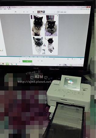 Canon SELPHY CP910 相片印表機