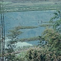 大坡池上1973.1.13.jpg