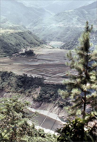 角板山吊橋1976.7.28.jpg