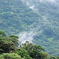 虎山山嵐2008.6.3.jpg